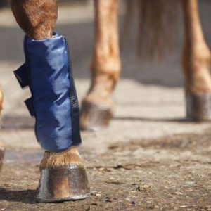 Horse Ice Boots