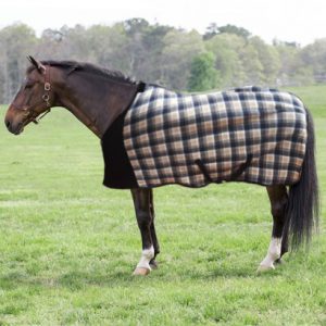 Fleece Blanket/ Rug - Tan and Black